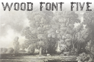 Wood Font Five: A Display Font with Natural Character